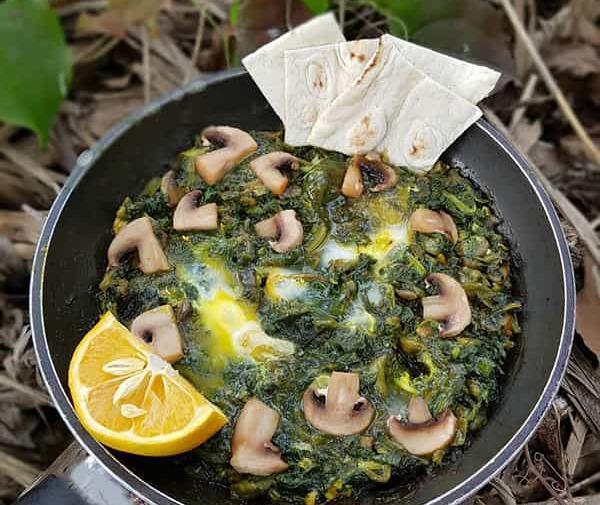 عکس غذا نرگسی