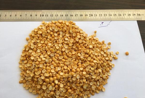 عکس لپه ریز