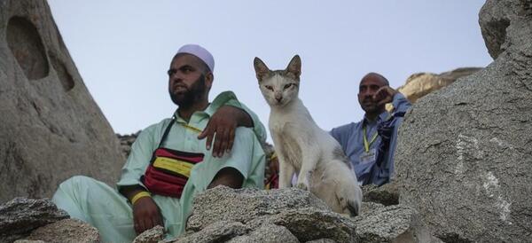 عکس غار ثور در مکه