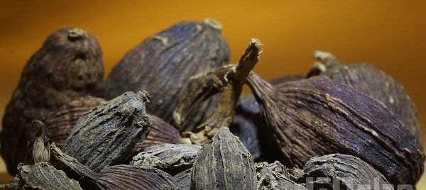 عکس حریره سیاه