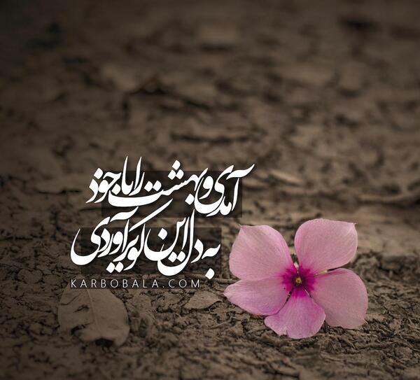عکس زینب رضایی