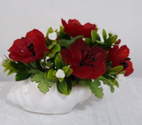 عکس گل حلزونی
