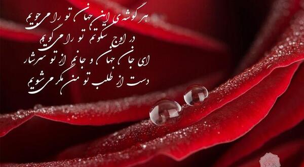 عکس ایده برای تبریک تولد همسر