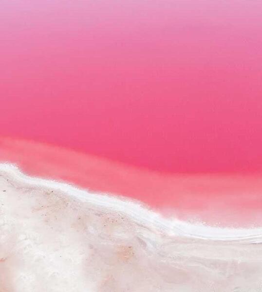 عکس دریای صورتی