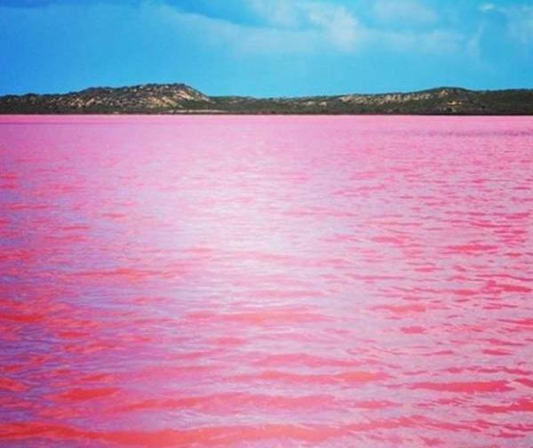عکس دریای صورتی