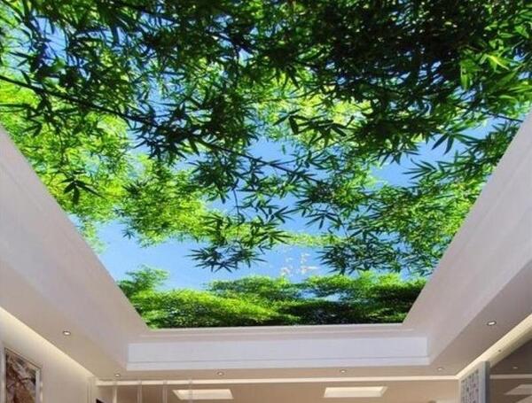 عکس آسمان مجازی آشپزخانه