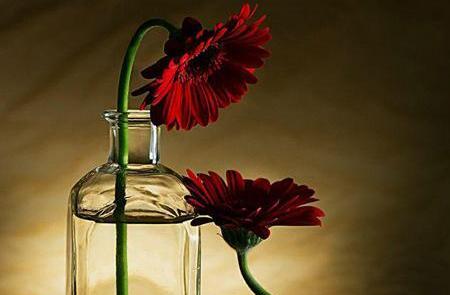 عکس مفهومی از زندگی