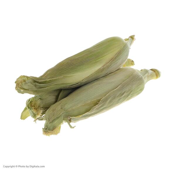 عکس پوستر ذرت مکزیکی