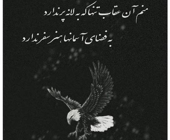 عکس عقاب زیرنویس