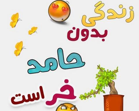 عکس نوشته حامد جان دوست دارم