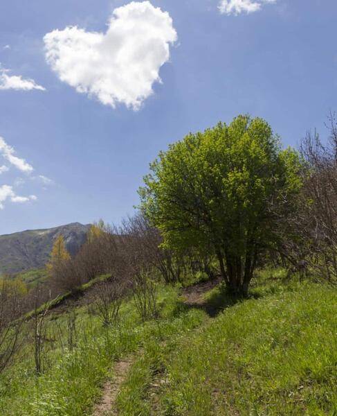 عکس طبیعت واقعی ایران