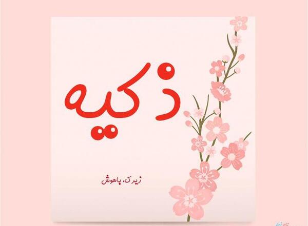 عکس زکیه ذوالفقاری