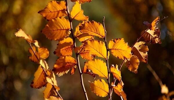 عکس نوشته آخرین زمستان قرن
