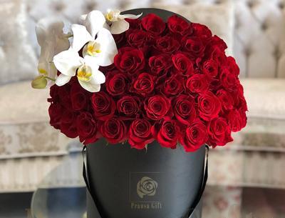 عکس گل رز هلندی
