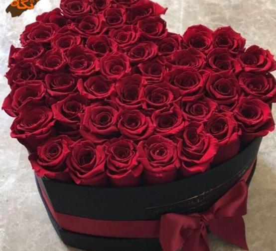 عکس گل رز هلندی