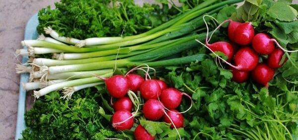 عکس هایی از خورشت قورمه سبزی