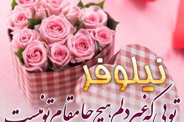 عکس نوشته اسم نیلوفر