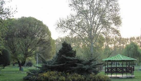 عکس منظره پارک