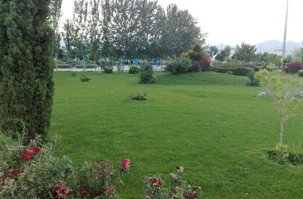عکس منظره پارک