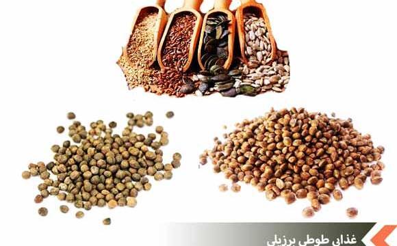 عکس غذای طوطی برزیلی