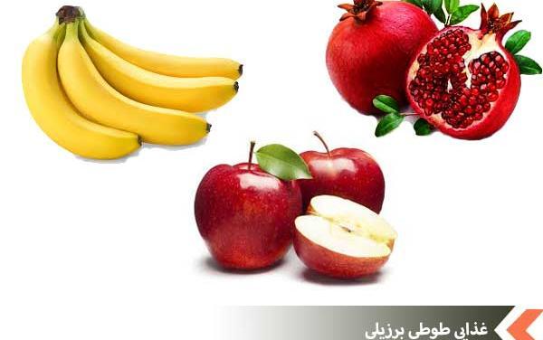 عکس غذای طوطی برزیلی