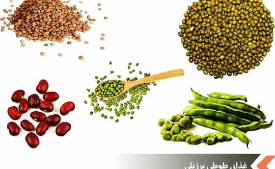 عکس غذای طوطی برزیلی