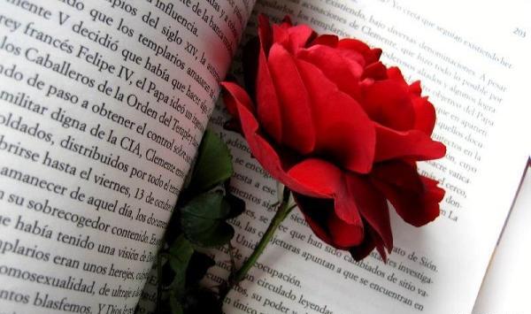 عکس گل رز روی کتاب