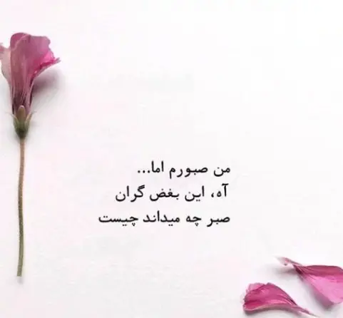 عکس نوشته های حمید مصدق