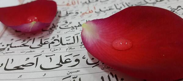 عکس نوشته دایی شهیدم