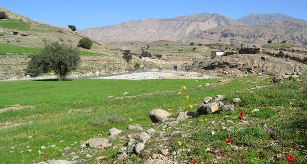 عکس بابا احمد