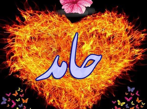 عکس نوشته اسم حامد