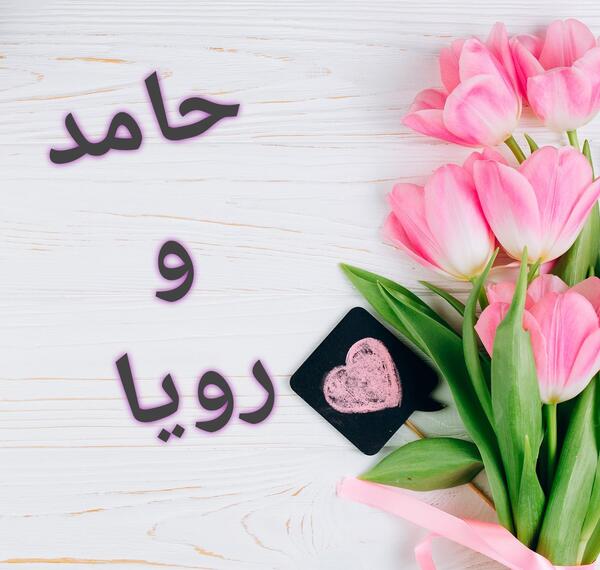 عکس نوشته اسم حامد