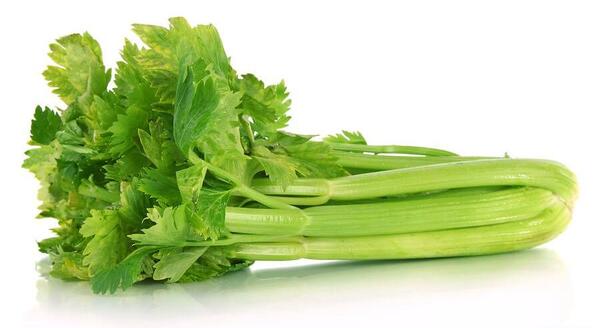 عکس گیاه کرفس