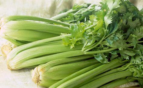 عکس گیاه کرفس
