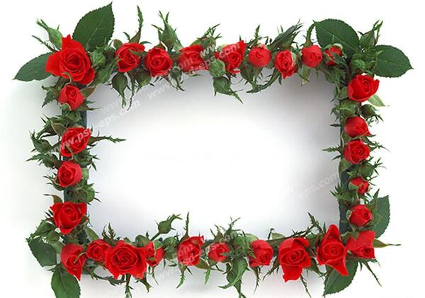 عکس گل کوچک