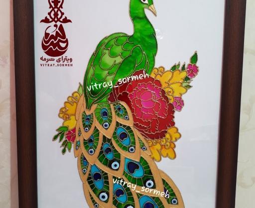عکس طاووس ویترای