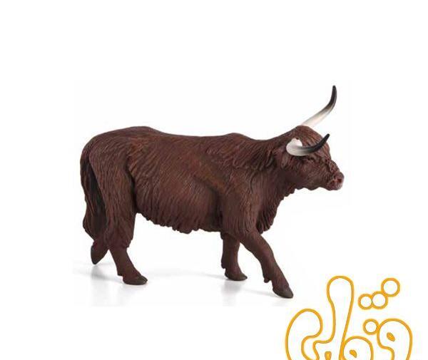 عکس گاو کوهی