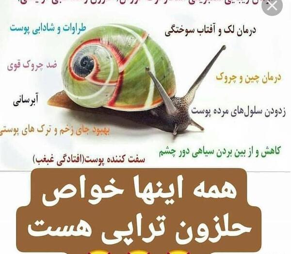 عکس قبل و بعد حلزون تراپی