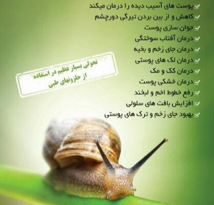 عکس قبل و بعد حلزون تراپی