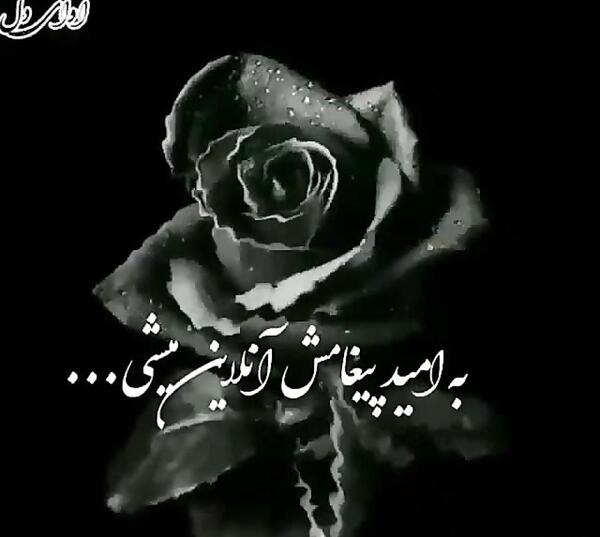 عکس نوشته انلاینم ولی تنهام