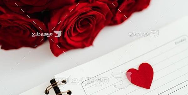عکس گلهای خاطره