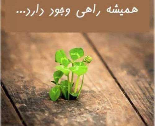 عکس امید ب زندگی