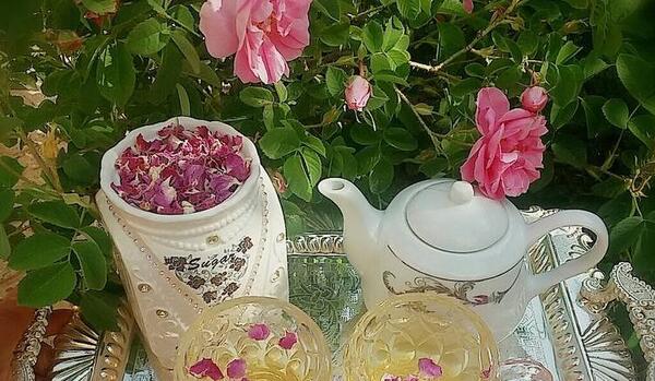 عکس چای گل محمدی