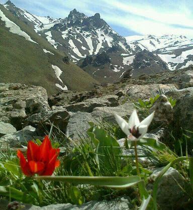 عکس بهار و زمستان