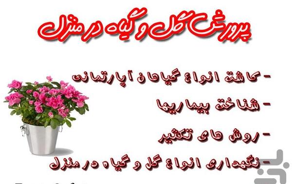 عکس ایده کاشت گل و گیاه
