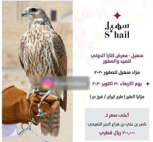 عکس شاهین اصل