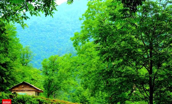عکس از طبیعت ماسوله