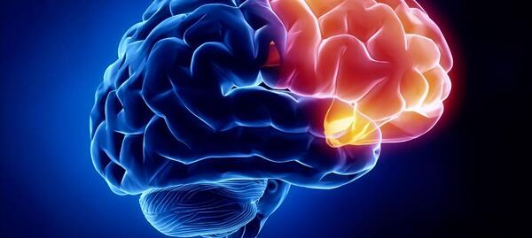 عکس دکتر فیروز صالح پور