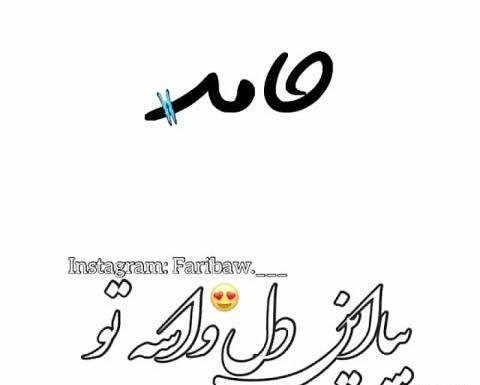 کلیپ عکس نوشته حامد