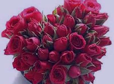 دانلود عکس گلها ی زیبا